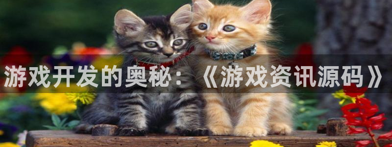鼎点娱乐平台登录：游戏开发的奥秘：《游戏资讯源码》