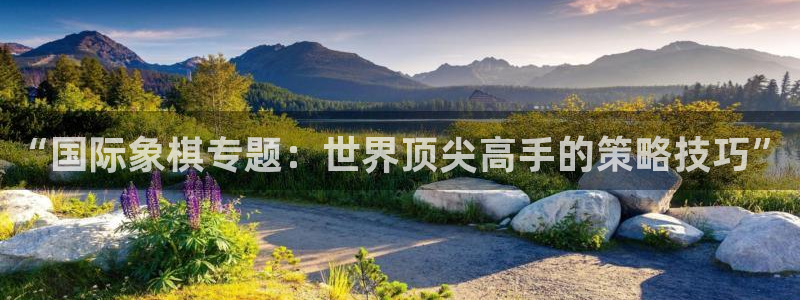 鼎点娱乐测速登陆：“国际象棋专题：世界顶尖高手的策略技巧”