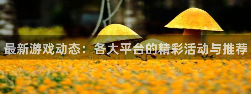 鼎点娱乐登陆测速：最新游戏动态：各大平台的精彩活动与推荐